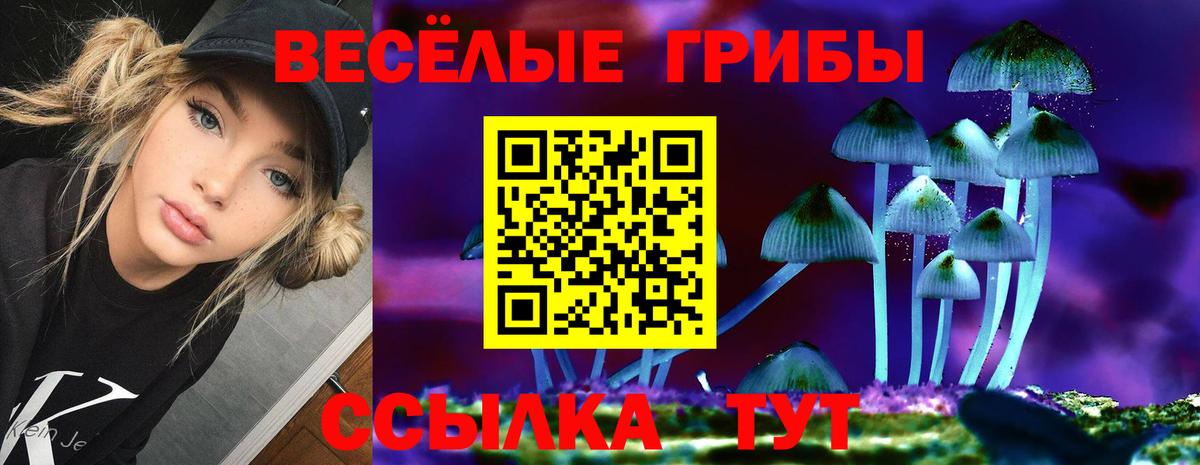 сколько стоит  Вход с VPN  Ульяновск  Галлюциногенные грибы мицелий  Галлюциногенные грибы мицелий 